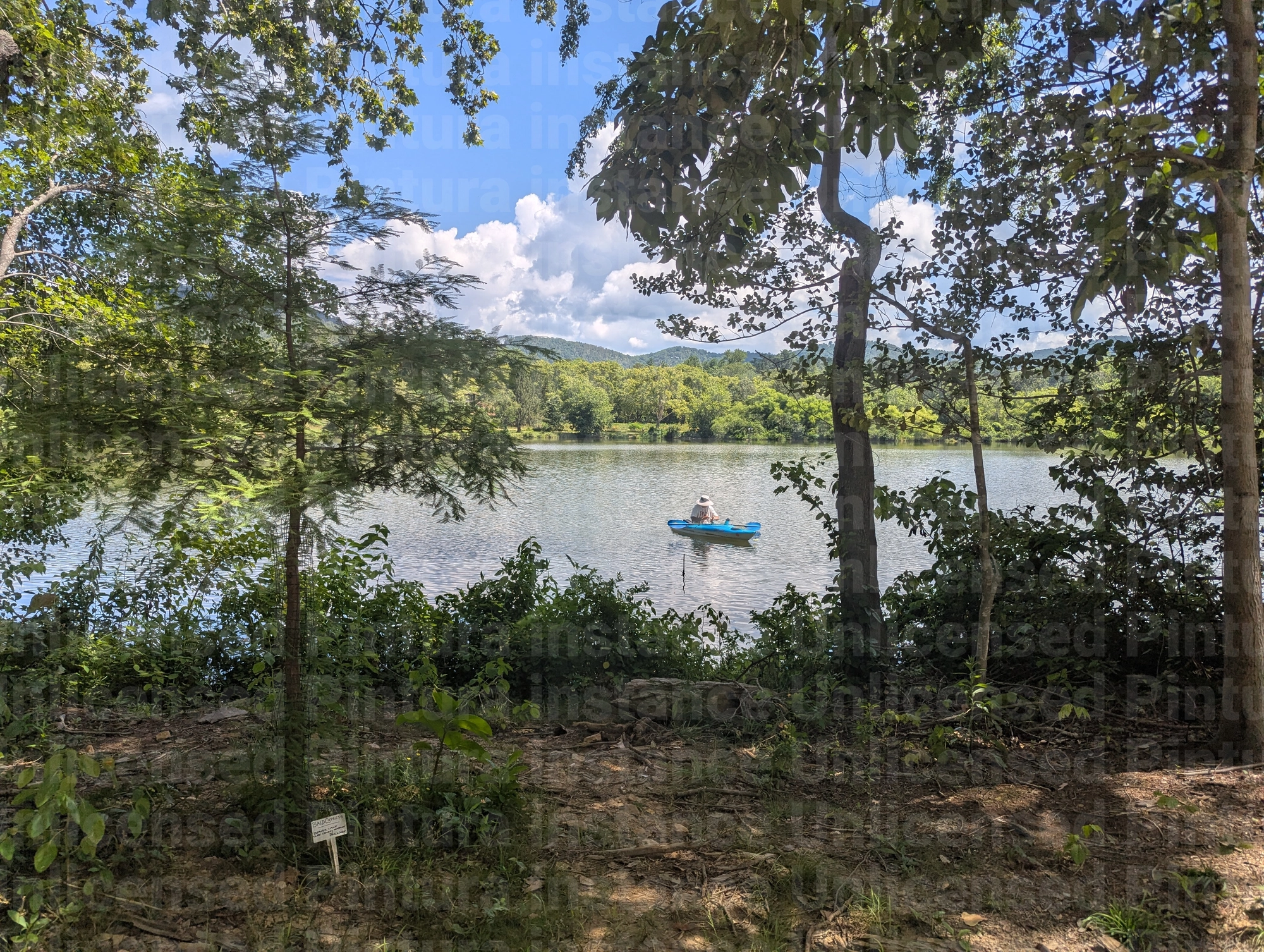 Kayak Fishing and Water Adventures at Beaver Lake, Asheville